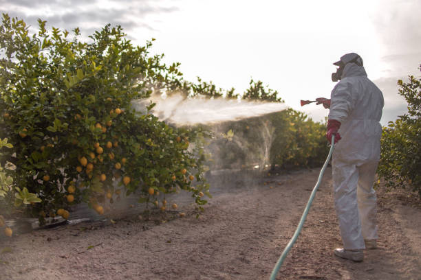 Professional Pest Control in Youngsville, PA