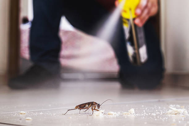 Trusted Youngsville, PA Pest Control Experts