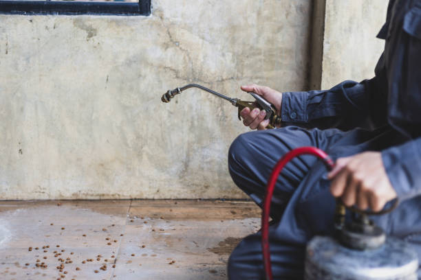 Pest Control Cost in Youngsville, PA